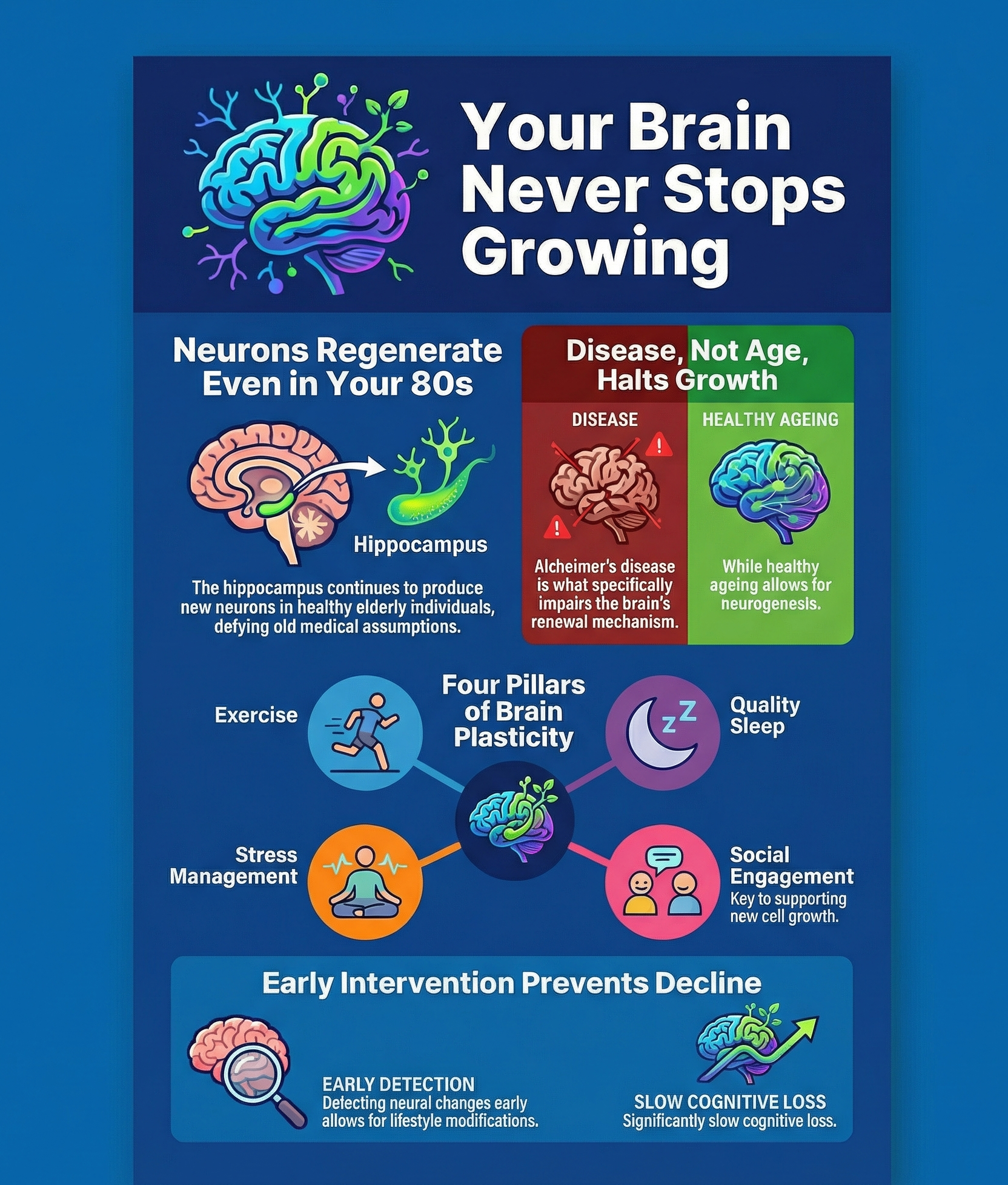 Human brain can grow new cells, remain sharp even in 80s: Study Human brain can grow new cells, remain sharp even in 80s: Study
